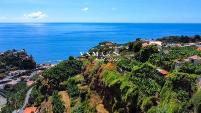 /international/pt/ponta-do-sol-madeira-310099724605/?lang=en