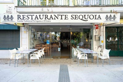 /international/pt/rua-luis-augusto-palmeirim-4-lisbon-portugal-alvalade-lisbon-310105186066/