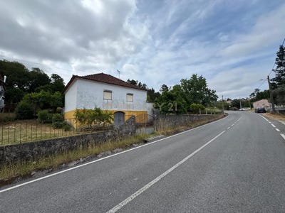 /international/pt/almagreira-leiria-310101281770/