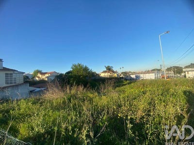 /international/pt/setubal-setubal-municipality-310106855415/