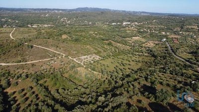 /international/pt/ferreira-do-zezere-santarem-310100143730/