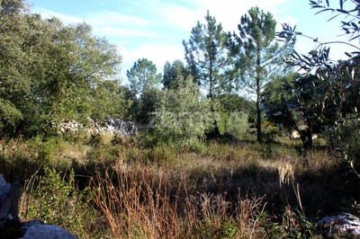 /international/pt/porto-de-mos-leiria-120073868310/
