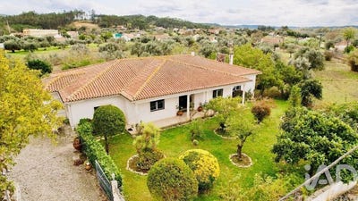 /international/pt/pelariga-leiria-310107499205/