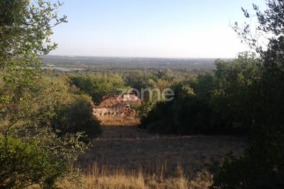 /international/pt/silves-faro-120083693856/?lang=zh-tw