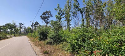 /international/pt/rua-carvalhais-oliveira-do-conde-viseu-310094778559/