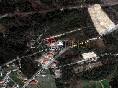 /international/pt/santarem-santarem-310105987211/