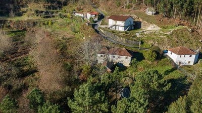 /international/pt/celorico-de-basto-braga-310106288176/