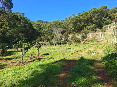 /international/pt/canical-machico-madeira-310104563576/