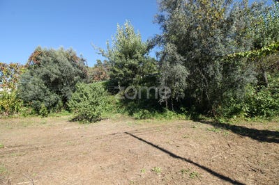 /international/pt/amares-braga-310104225587/