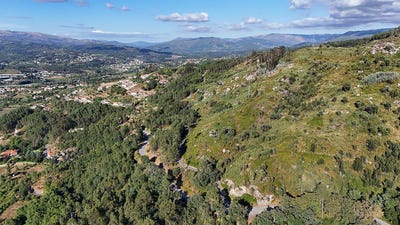 /international/pt/braga-braga-310109019487/