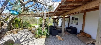 /international/pt/celorico-da-beira-guarda-310105241729/
