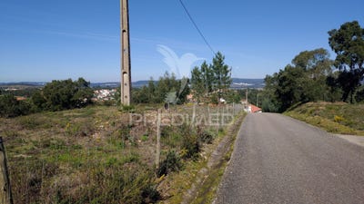 /international/pt/santa-margarida-da-coutada-constancia-santarem-310108373731/