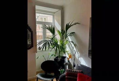 /international/pt/santos-o-velho-lisbon-310108865883/