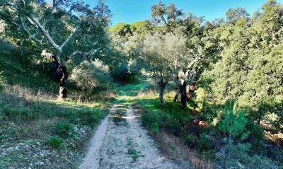/international/pt/melides-setubal-municipality-310107888354/