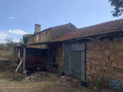 /international/pt/pedrogao-grande-leiria-310100523617/