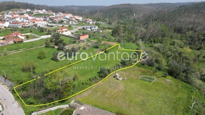 /international/pt/regueira-de-pontes-leiria-leiria-310109019029/