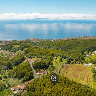 /international/pt/caminho-ribeiro-louro-2a-9100-gaula-portugal-ilha-da-madeira-madeira-310100828097/