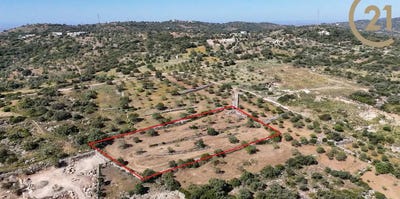 /international/pt/conceicao-e-estoi-algarve-310101356698/?lang=zh-tw