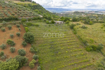 /international/pt/braganca-braganca-310094123866/