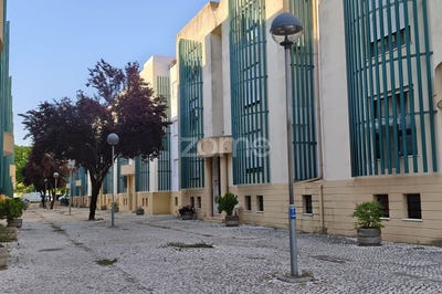 /international/pt/beja-beja-310108809232/