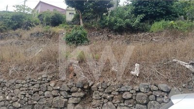 /international/pt/sao-vicente-madeira-310099610177/