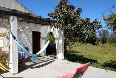 /international/pt/samoqueiro-sao-teotonio-beja-310104280735/