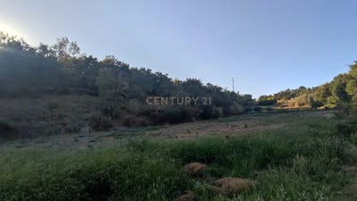 /international/pt/vale-do-salgueiro-castelo-novo-santarem-310105249018/