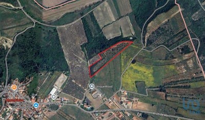 /international/pt/santarem-santarem-310096552458/