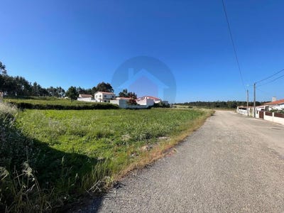 /international/pt/olho-marinho-leiria-310104448020/