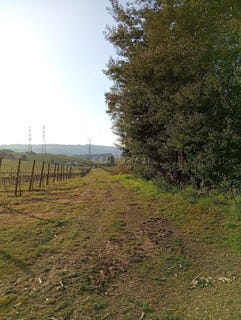 /international/pt/sobrado-portugal-campo-madeira-310107702675/