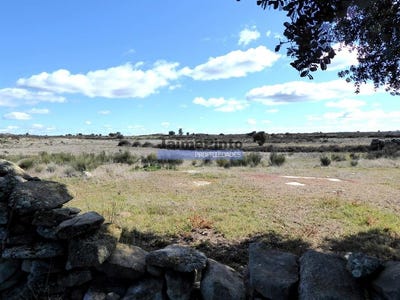 /international/pt/figueira-de-castelo-rodrigo-guarda-310104233368/