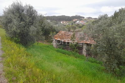 /international/pt/soure-coimbra-120083699043/