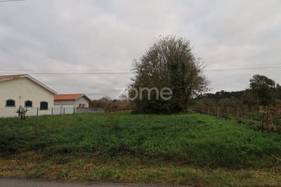 /international/pt/oliveira-do-bairro-aveiro-310097186189/?lang=en