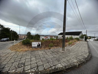 /international/pt/meia-via-santarem-310099590468/