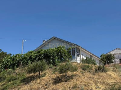 /international/pt/mofreita-vinhais-portugal-soeira-braganca-310102954942/