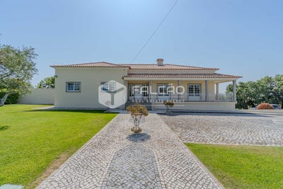 /international/pt/santarem-santarem-310098266269/