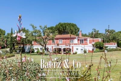 /international/pt/unnamed-road-santo-estevao-santarem-310109093206/