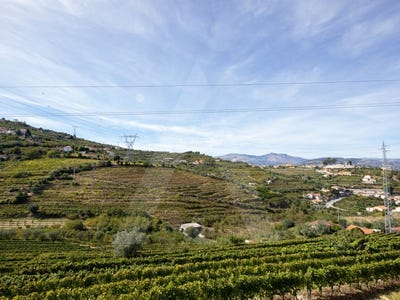 /international/pt/cambres-viseu-310100274113/