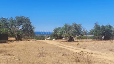 /international/pt/guia-leiria-310105305838/