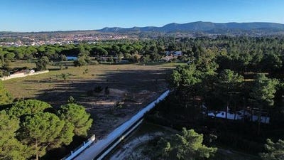 /international/pt/santa-maria-da-graca-setubal-municipality-310101377415/