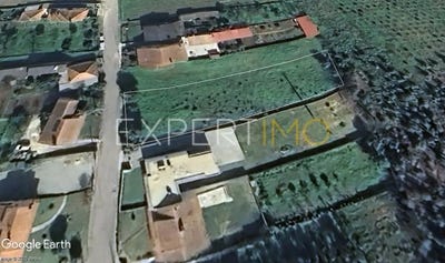 /international/pt/r-covelo-70-3780-sangalhos-portugal-aveiro-aveiro-310100231974/