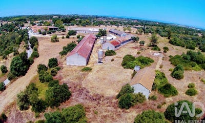 /international/pt/santarem-santarem-310093910507/