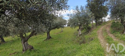 /international/pt/castelo-branco-braganca-310100182220/
