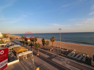 /international/pt/quarteira-lisbon-310099845362/