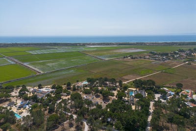 /international/pt/comporta-setubal-municipality-310101036646/