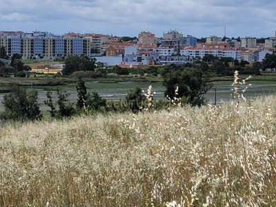 /international/pt/quinta-da-nossa-senhora-da-saudade-seixal-setubal-municipality-310107493428/