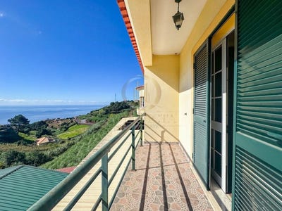 /international/pt/canhas-madeira-310107013614/