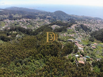 /international/pt/santa-cruz-madeira-310094534716/