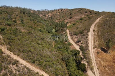 /international/pt/silves-faro-310100666998/
