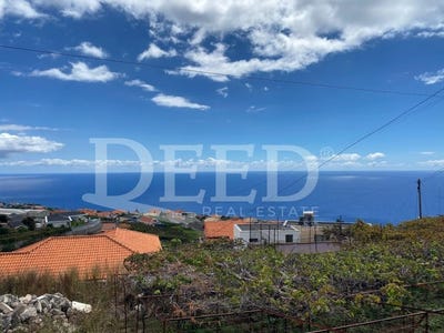/international/pt/estreito-da-calheta-madeira-120096009879/